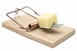 mousetrap