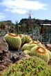 Jardin de Cactus auf Lanzarote