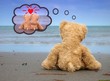 Teddy Einsam am Strand träumt von Partnerschaft