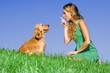 dog pet training, scolding and playing 